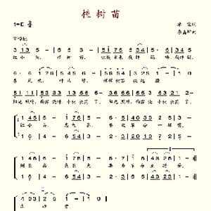 植树苗_歌谱投稿_词曲:单宝 李嘉坪