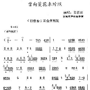 秦腔 曾向菱花来对照 扫窗会 王金贞唱腔 肖若兰