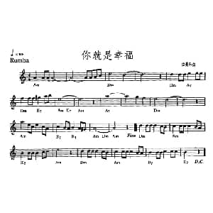 电子琴谱 | 你就是幸福 拉美乐曲