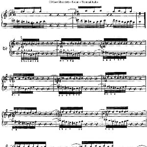 Technical Studies 60 Progressive Exercises 钢琴谱 约瑟夫 皮史纳