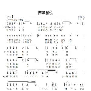 两琴相约_歌谱投稿_词曲:张斌 冉才