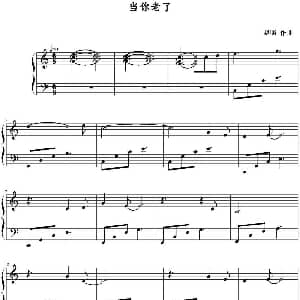当你老了 钢琴谱 赵照