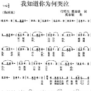 我知道你为何哭泣_通俗唱法乐谱_词曲:付顺生 莫恭敏 莫恭敏