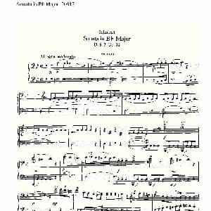 Sonata in Bb Major D.617 钢琴谱