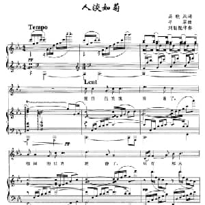 人淡如菊_美声唱法乐谱_词曲:吴晓风 辛翠