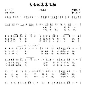 大飞机高高飞翔_儿歌乐谱_词曲:毕健民 楼勤