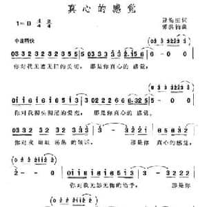 真心的感觉_民歌简谱_词曲:逯海田 郭洪钧