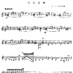 玛拉盖娜 吉他谱 古 E 莱库奥钠