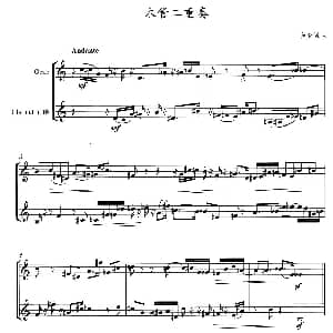 木管二重奏 黄金城