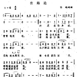 在海边_通俗唱法乐谱_词曲:苏越 苏越
