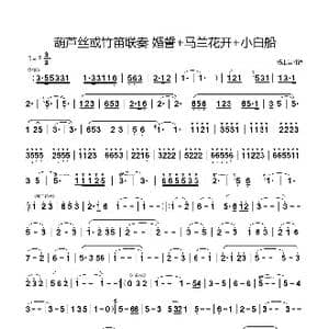 葫芦丝或竹笛联奏 婚誓 马兰花开 小白船_歌谱投稿