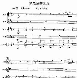 你是我的阳光 电声乐队总谱