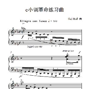 c小调革命练习曲 钢琴谱 波 肖邦
