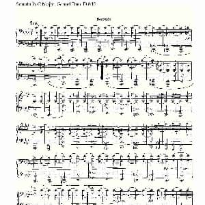 Sonata in C Major, Grand Duo D.812 钢琴谱