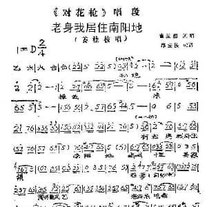 豫剧谱 | 老身我居住南阳地 对花枪 姜桂枝唱段 崔兰田