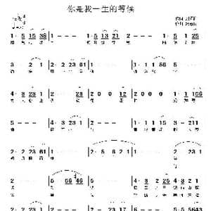 你是我一生的等候_歌曲简谱_词曲:刘顶柱 张志良