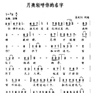 月亮轻呼你的名字_通俗唱法乐谱_词曲:肖向阳 肖向阳