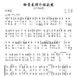 给青春理个短头发_歌曲简谱_词曲:王磊 栾凯