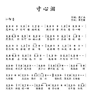 寸心泪_通俗唱法乐谱_词曲:周广兵 覃艺馨