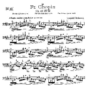 53首改编练习曲 钢琴谱 里奥鲍尔德 戈多夫斯基