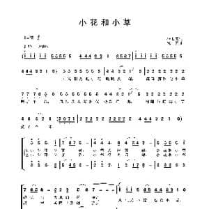 小花和小草_歌谱投稿_词曲:杨玉鹏 晓其