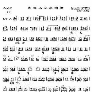 乌盆记 老丈不必胆怕惊_歌曲简谱_词曲:暂无 恒流星制谱