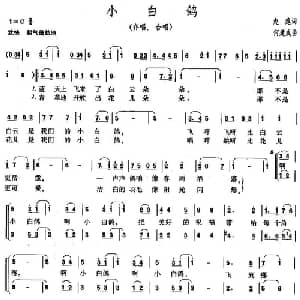 小白鸽_儿歌乐谱_词曲:赵越 何建成