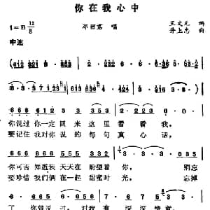 你在我心中_通俗唱法乐谱_词曲:王文远 井上忠夫