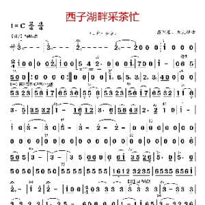 西子湖畔采茶忙_歌曲简谱_词曲: 蒋国基