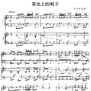 手风琴谱 | 草地上的鸭子