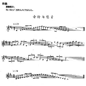 小号考级四级 音阶与琶音 D大调 b小调