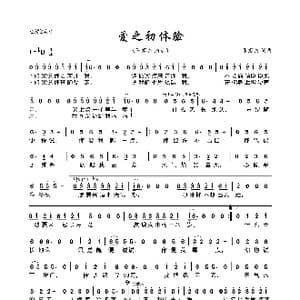 爱之初体验_歌曲简谱_词曲:张震岳 张震岳