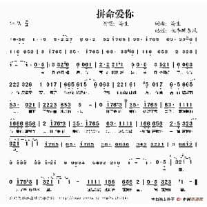 拼命爱你_歌谱投稿_词曲:海生 海生