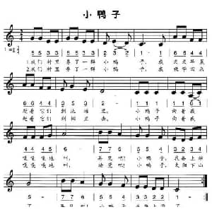 小鸭子_儿歌乐谱