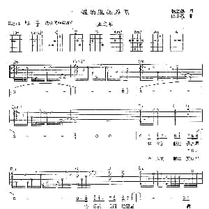 谁的眼泪在飞 吉他谱 孟庭苇 杨立德 陈小霞