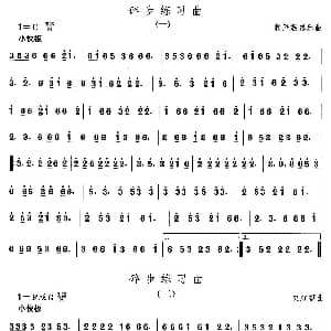 碎步练习 朝鲜族舞蹈 中国民族民间舞曲选