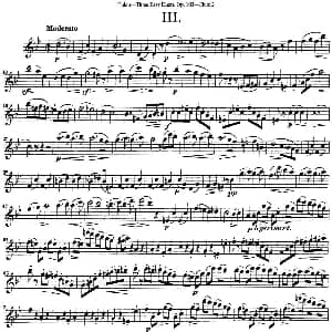 长笛曲谱 | 图露三首长笛简易重奏曲Op.103 Flute 2 NO.3 Tulou 图露