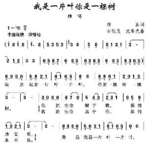 我是一片叶 你是一棵树_民歌简谱_词曲:陶正 石铁民 沈尊光