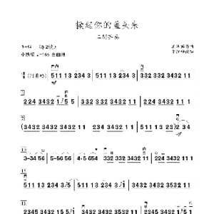 掀起你的盖头来_歌曲简谱_词曲: 王洛宾