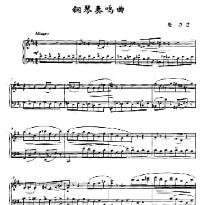 钢琴奏鸣曲 钢琴谱 张力