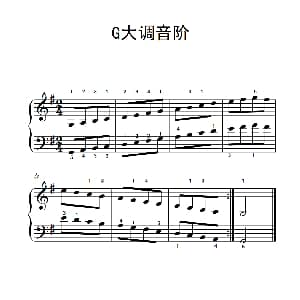 第二级 2.G大调音阶 钢琴谱