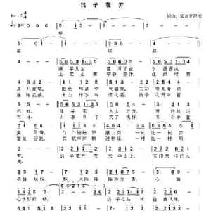 鸽子花开_民歌简谱_词曲:张家界阿明 张家界阿明