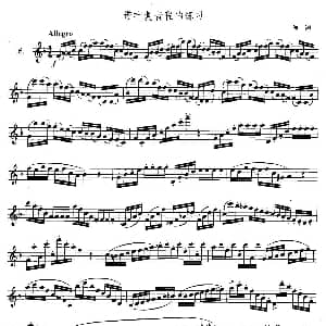 萨克斯谱 | 萨克斯练习曲合集 3—16 带有复音程的练习 海涅