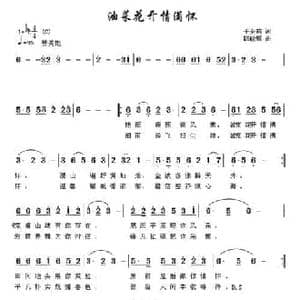 油菜花开情满怀_民歌简谱_词曲:于全莉 韩晓辉