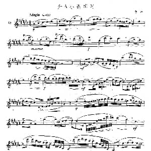 萨克斯谱 | 萨克斯练习曲合集 5—17 升A小调练习 费林