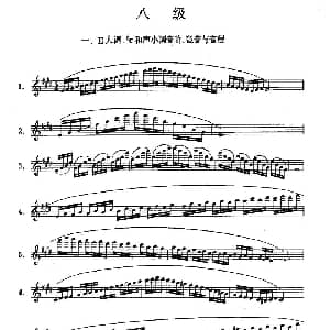 长笛曲谱 | 长笛八级考级曲谱 第一 二部分