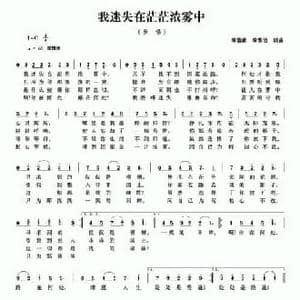 我迷失在茫茫浓雾中_民歌简谱_词曲:李德甫 李欣治 李德甫 李欣治