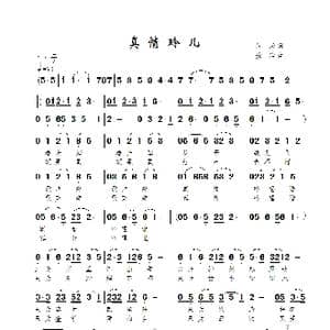 真情玲儿_歌曲简谱_词曲:许兴 景治