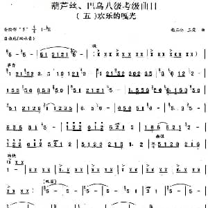 巴乌八级考级曲目 欢乐的嘎光 杨正仁 王震