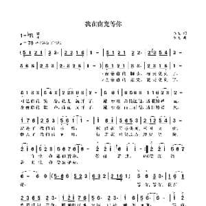 我在南充等你_歌曲简谱_词曲:袁龙 袁龙